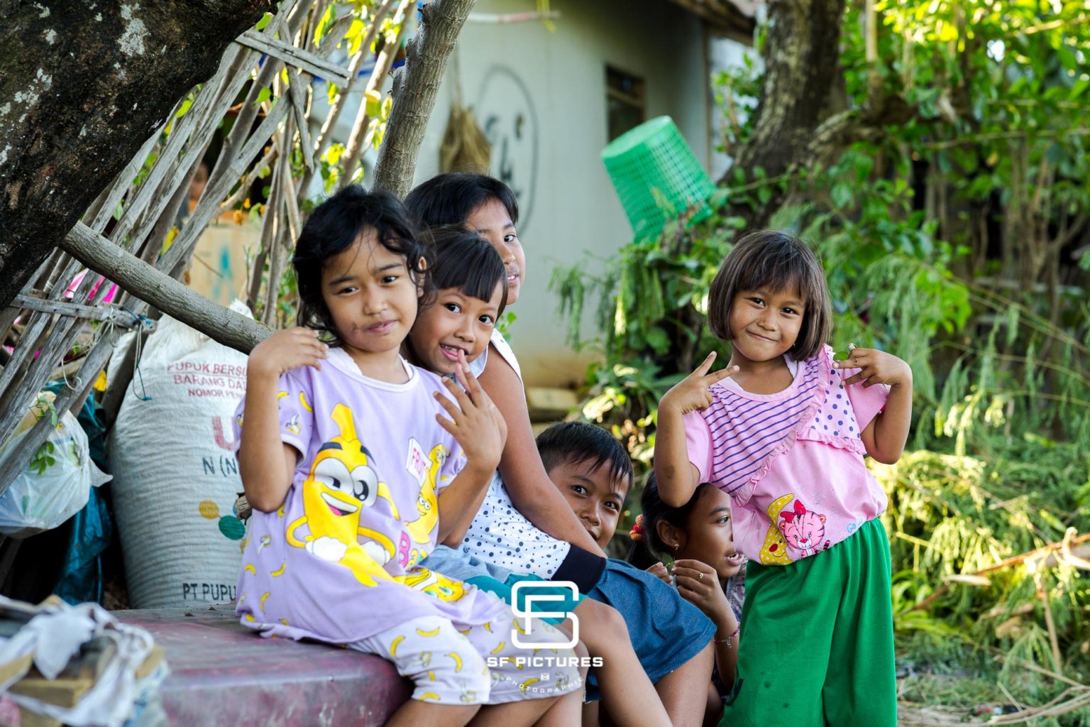 A Fleur de Rizières, Village de Pasir Panjang, Java, Indonésie